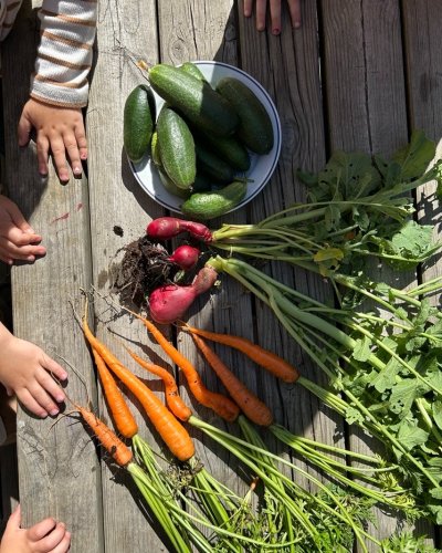 Carousel post from siostudentliv.