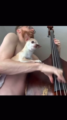 Video post from miyatamusic.