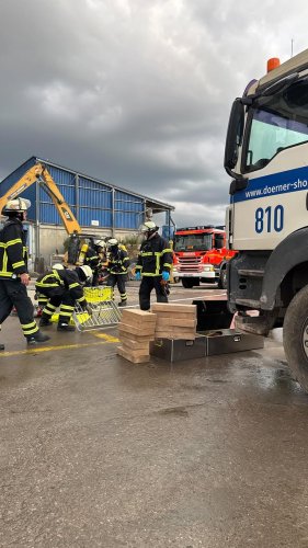 Video post from ff_stellingen.