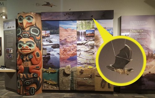 Photo post from usinteriormuseum.