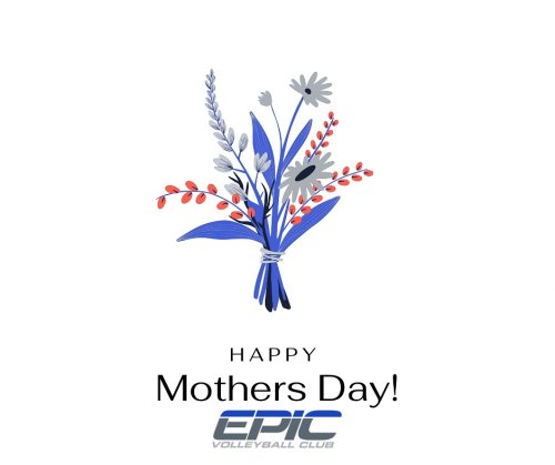 Photo post from epicvball.