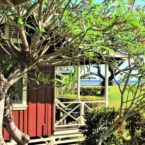 Video post from hi95kauai.