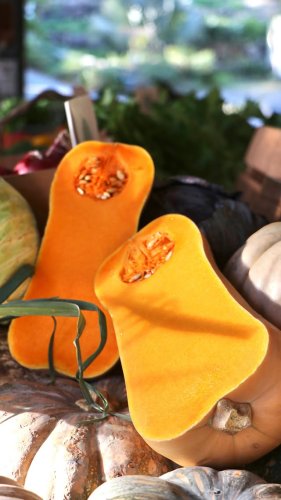 Video post from currumbinvalleyharvest.