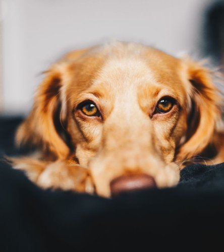 Photo post from themoathouse.