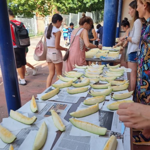 Carousel post from ellacuriazurbaranbhi.