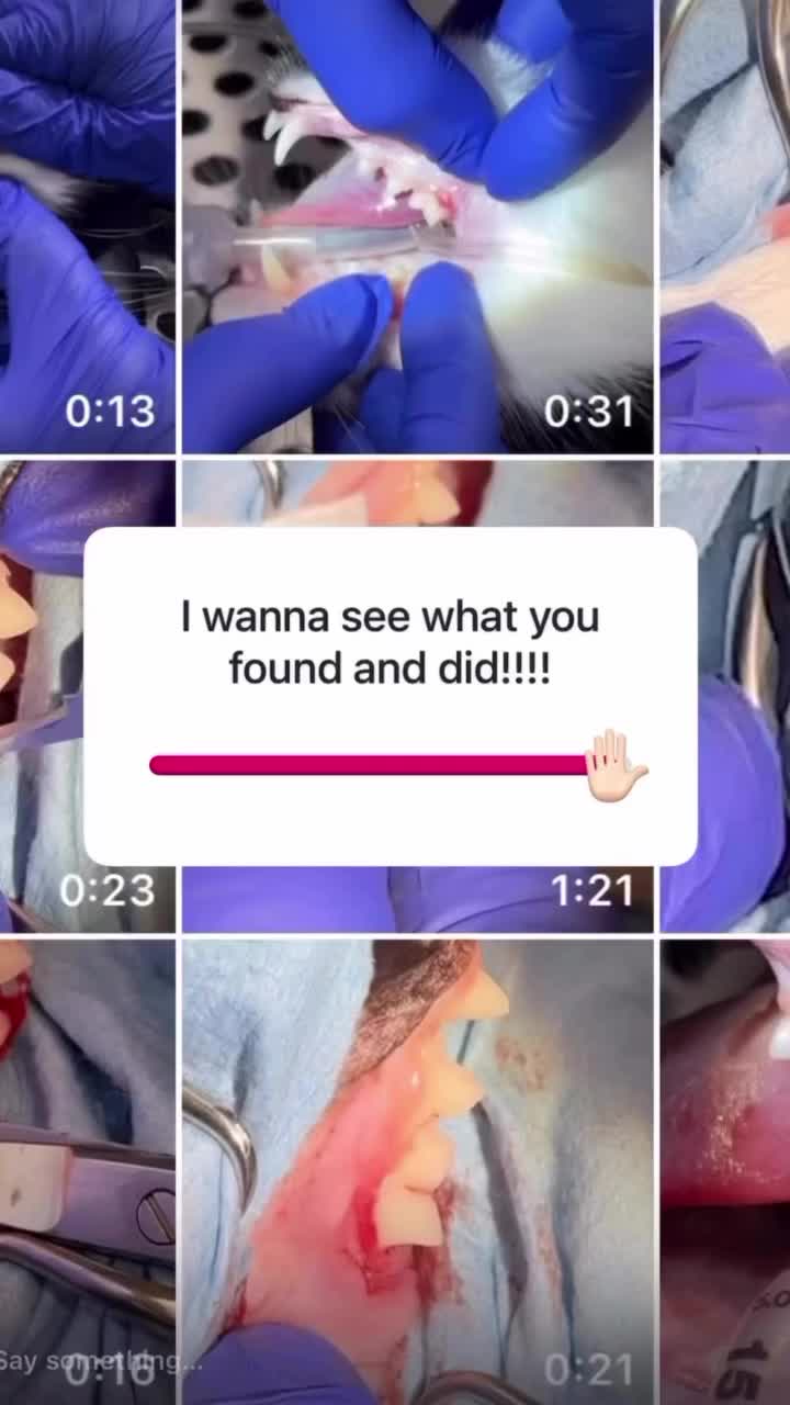 Video post from toothy.thomson.