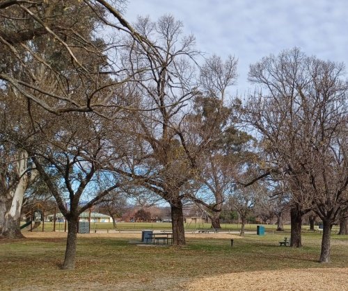 Photo post from alburycity.