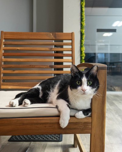 Photo post from medicalpettj.