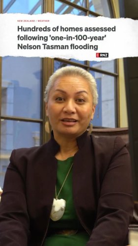 Video post from nzgreenparty.