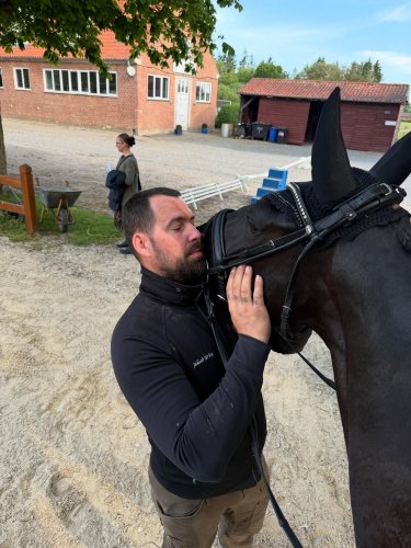 Photo post from michellekolding.