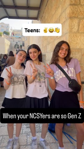Video post from ncsysummer.