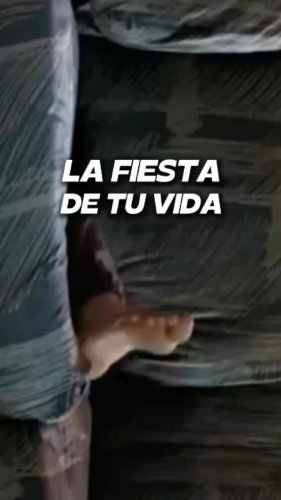 Video post from torrejonjoven.