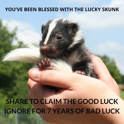 Photo post from njexoticpets.