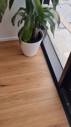 Video post from legend.flooring.pty.