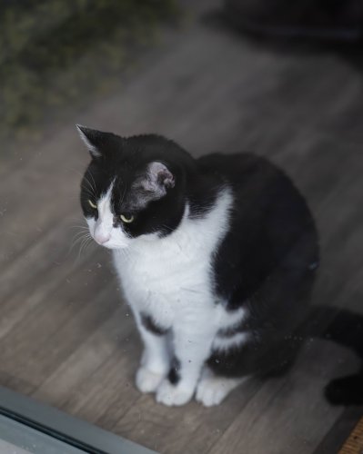 Photo post from medicalpettj.