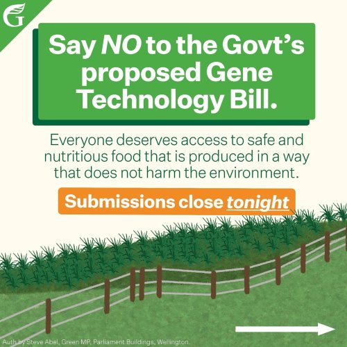 Carousel post from nzgreenparty.