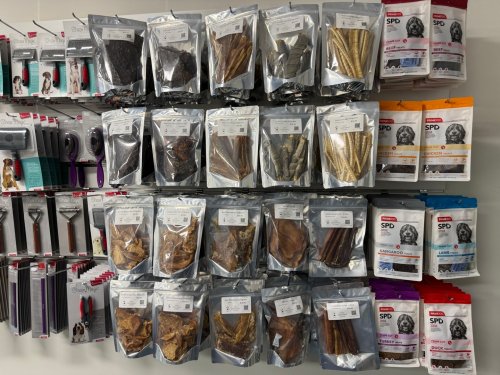 Photo post from k9playtimedoggydaycare.