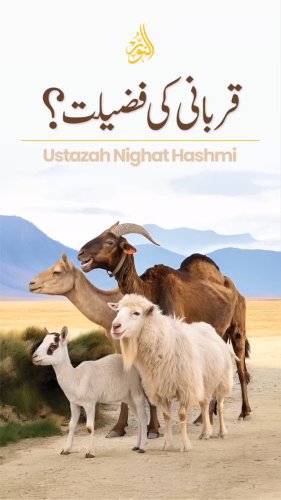 Video post from nighathashmi.