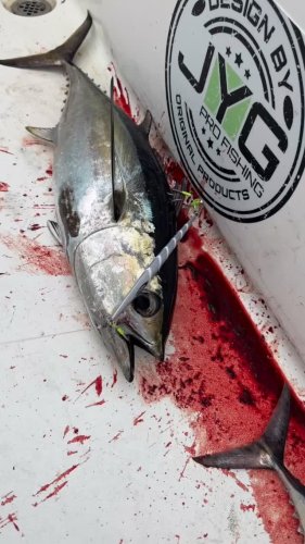 Video post from ejs_fishing_charters.