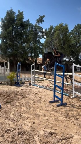Video post from _lm_equestrian_.
