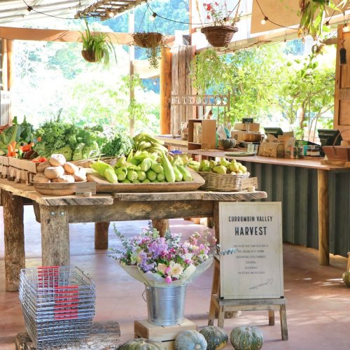 Photo post from currumbinvalleyharvest.