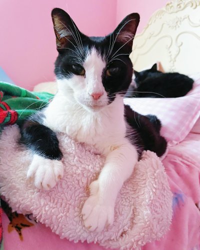 Photo post from margaritabloom.