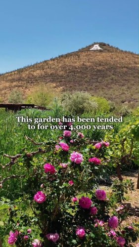 Video post from visittucson.