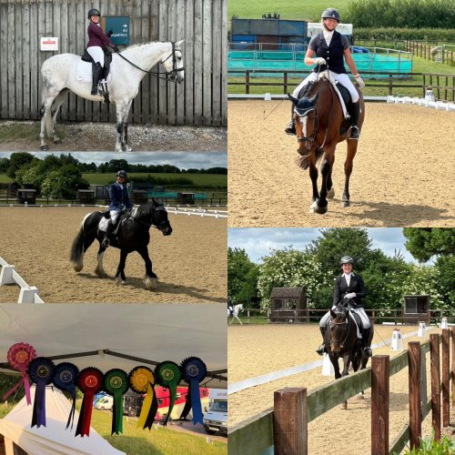 Photo post from mbddressage.