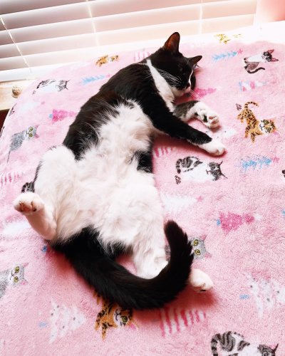 Photo post from margaritabloom.