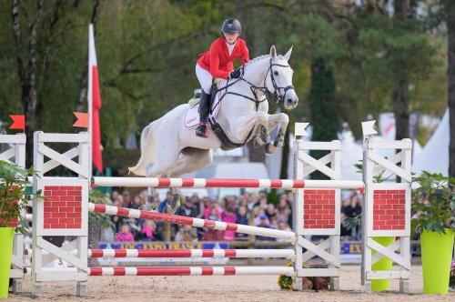 Carousel post from bech_eventing.