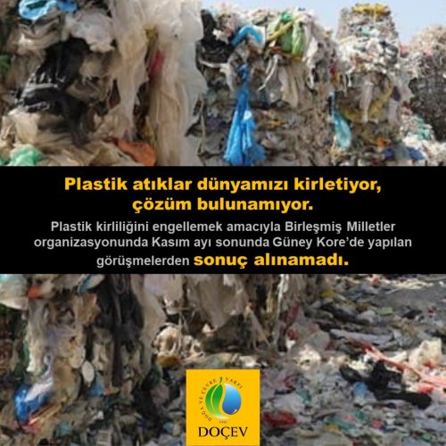 Photo post from dogavecevrevakfi.