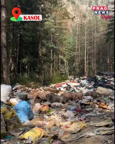 Video post from pragnewsofficial.