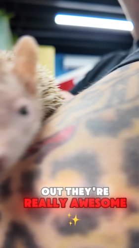 Video post from njexoticpets.