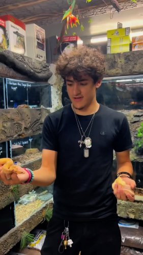 Video post from njexoticpets.