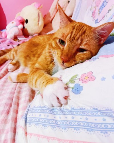 Photo post from margaritabloom.