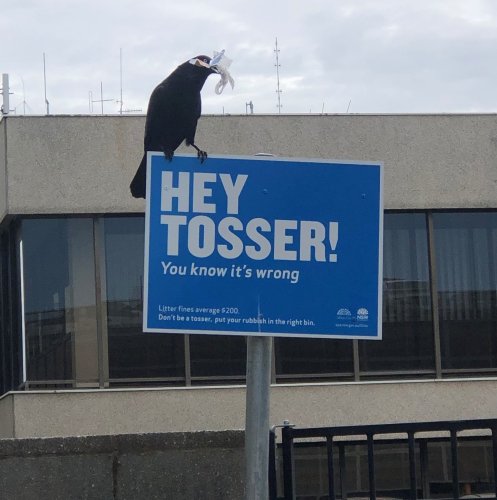 Photo post from alburycity.