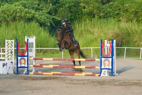 Carousel post from dxdequestrian.
