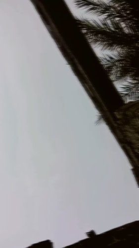 Video post from goose.2068101.