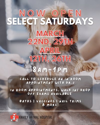 Photo post from familyanimalhospitalcm.