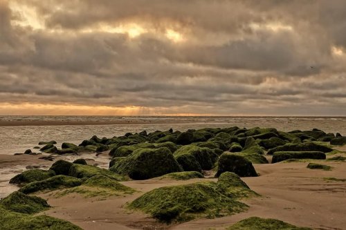 Photo post from ditiskatwijk.