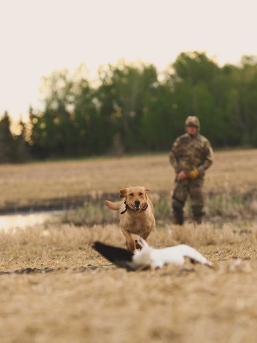 Carousel post from northernskiesoutfitters.