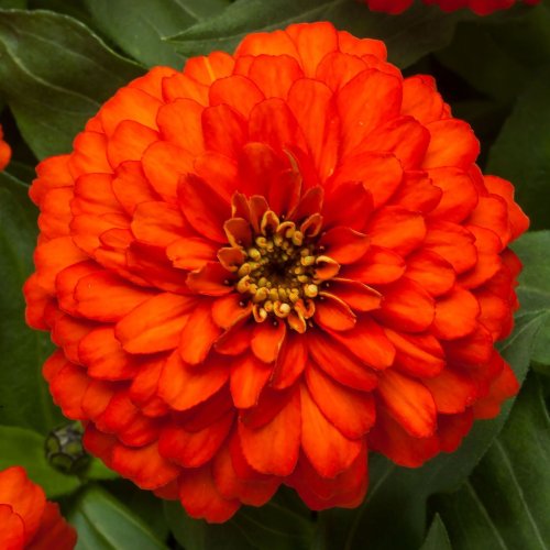 Photo post from aasgardenwinners.