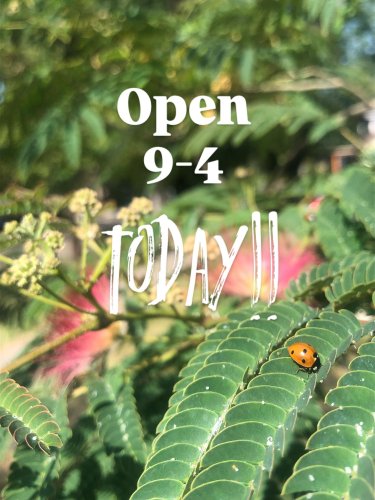 Photo post from equianocoffee.