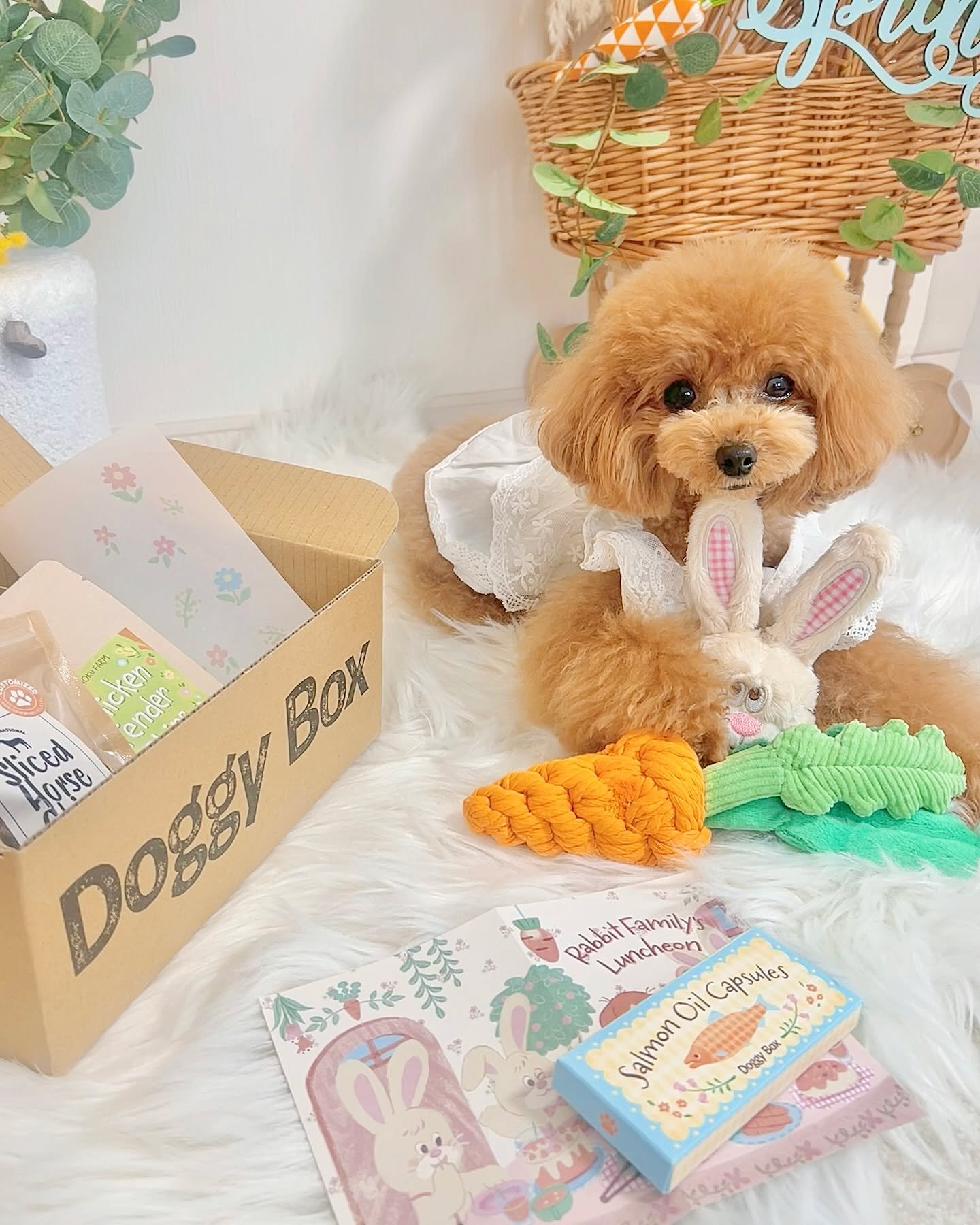 Doggy Box | 毎月サプライズいっぱいのBOXをお届け