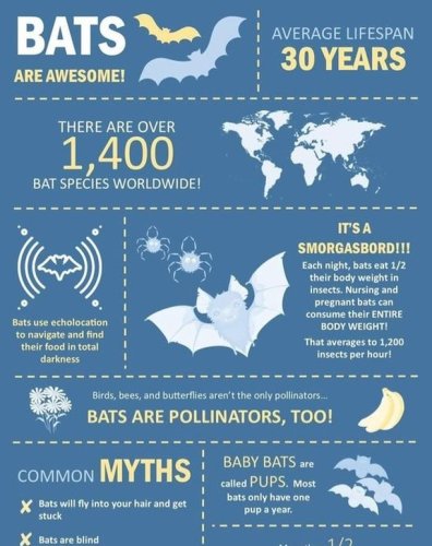 Photo post from ournatureusa.