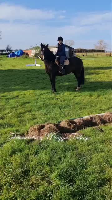 Video post from traceyroodpurelypastels.