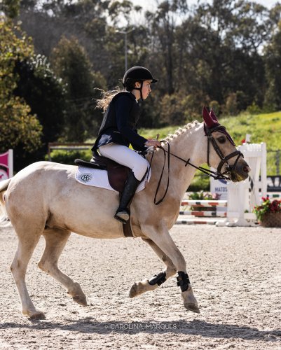 Carousel post from cmarques_photography.