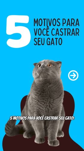 Video post from ananindeuapma.