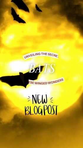 Video post from one_planet_life.