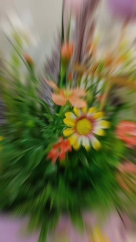 Video post from niftygiftynorfolk.